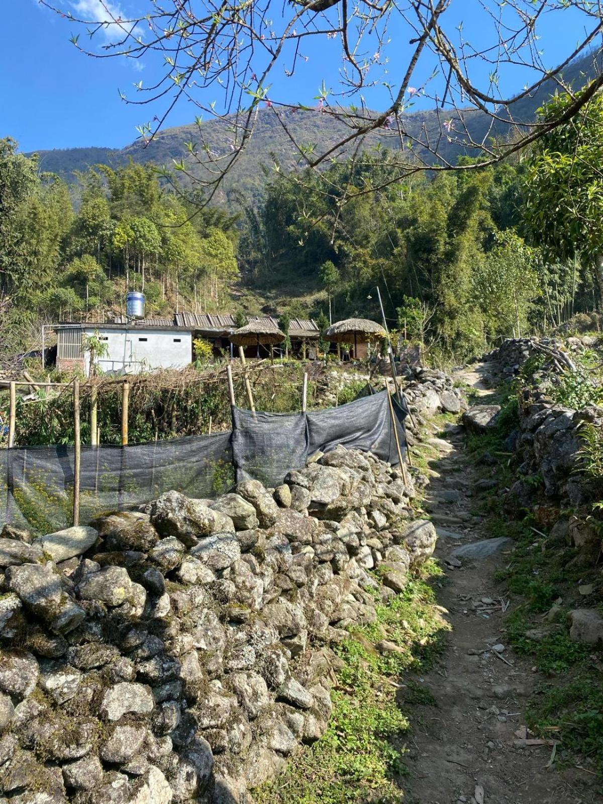 Sue Pa Family Trekking Homestay Sapa Exteriér fotografie