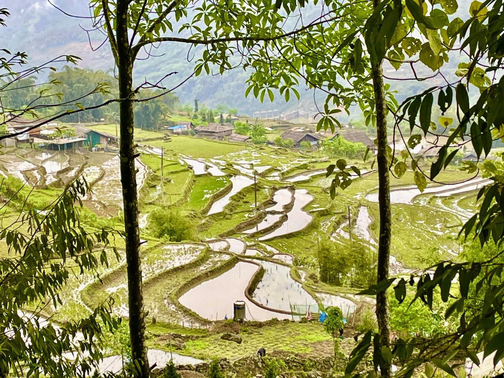 Sue Pa Family Trekking Homestay Sapa Exteriér fotografie