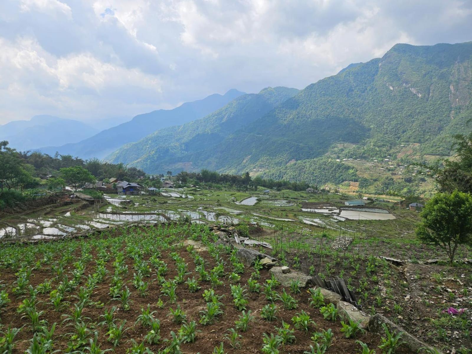 Sue Pa Family Trekking Homestay Sapa Exteriér fotografie